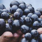 Antioxidantes: qué son y dónde encontrarlos de verdad