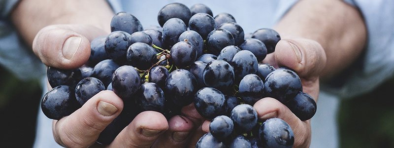 Antioxidantes: qué son y dónde encontrarlos de verdad Manos sosteniendo uva negra