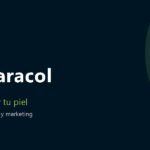 Baba de caracol: qué hace de verdad por tu piel y qué es marketing